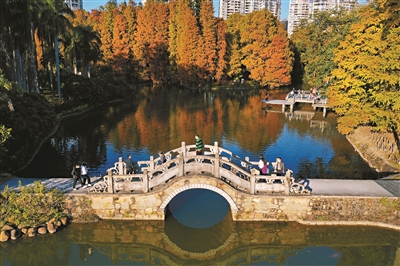 绿美广州 春色满“园”关不住