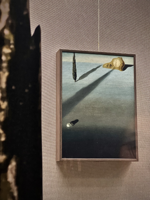 大阳城集团娱乐视频