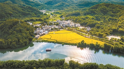 广州市委农办主任，市农业农村局党组书记、局长李世通：奋力书写中国式农业农村现代化的“广州答卷”