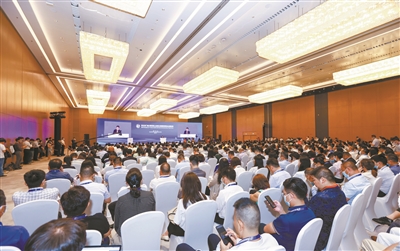 共话“一带一路” 共享湾区机遇