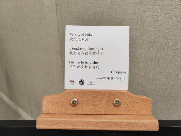 大阳城集团娱乐视频