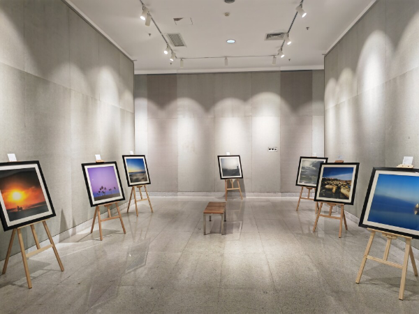 大阳城集团娱乐视频