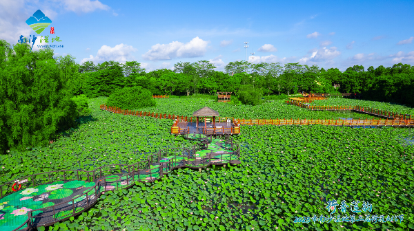 大阳城集团娱乐视频