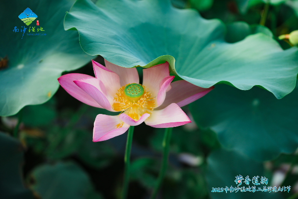 大阳城集团娱乐视频