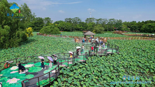 大阳城集团娱乐视频