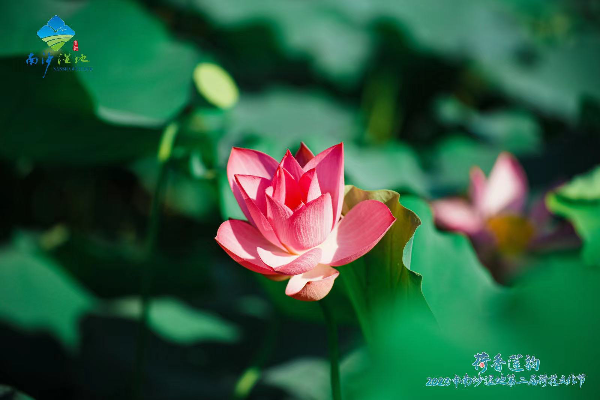 大阳城集团娱乐视频