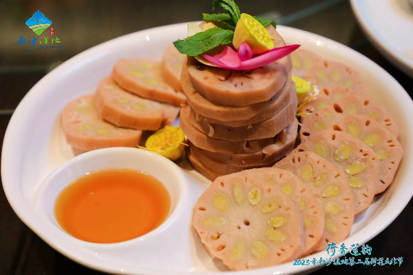 大阳城集团娱乐视频