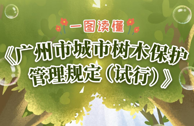 【一图读懂】《广州市城市树木保护管理规定（试行）》