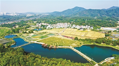 五色旅游线路 品读黄埔文化