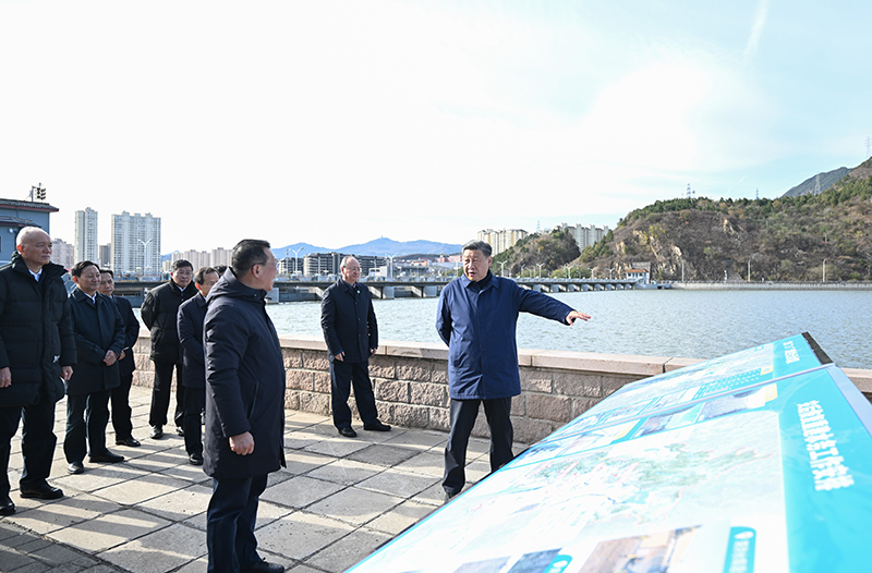 大阳城集团娱乐视频