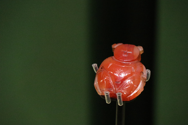 大阳城集团娱乐视频