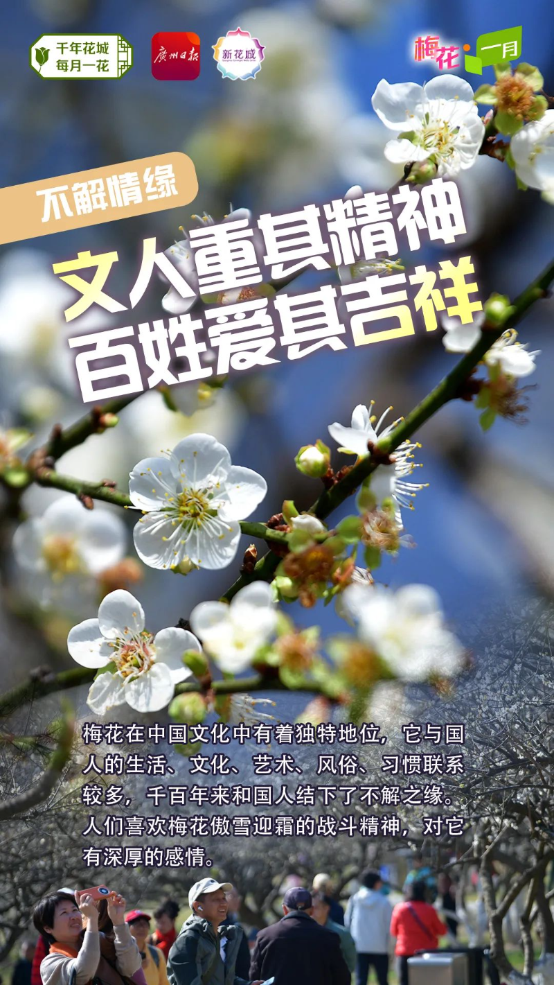 7aed2e284915e279b7e05d41e341a8d9_.jpg 图片