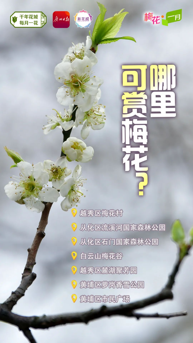 bccde0624c01874d5e36ad49c451f3f4_.jpg 图片