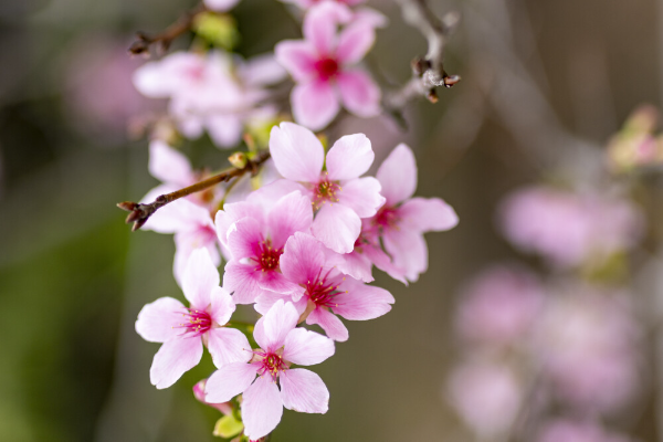 大阳城集团娱乐视频