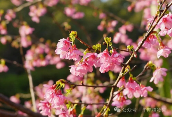 大阳城集团娱乐视频