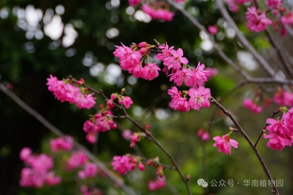 大阳城集团娱乐视频