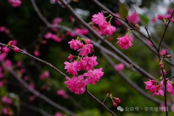 大阳城集团娱乐视频