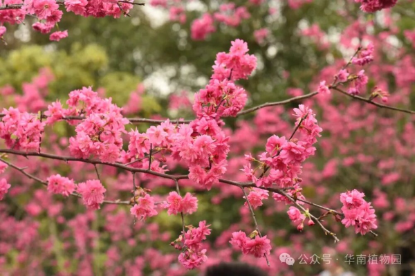 大阳城集团娱乐视频