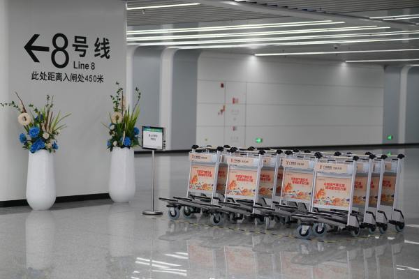 大阳城集团娱乐视频