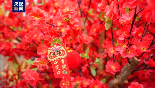 写意春天里 湾区花正开