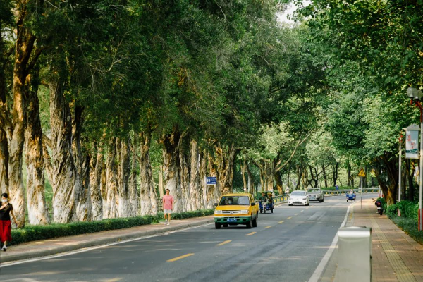 真的没想到，广州这几条路，原来这么舒服！