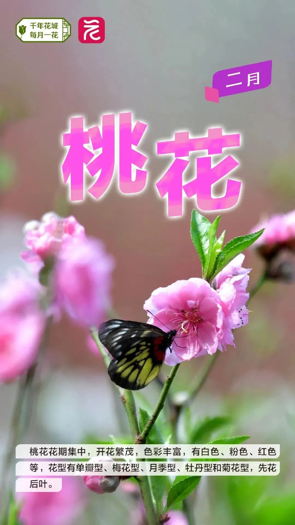 微信图片_20240222163646 图片