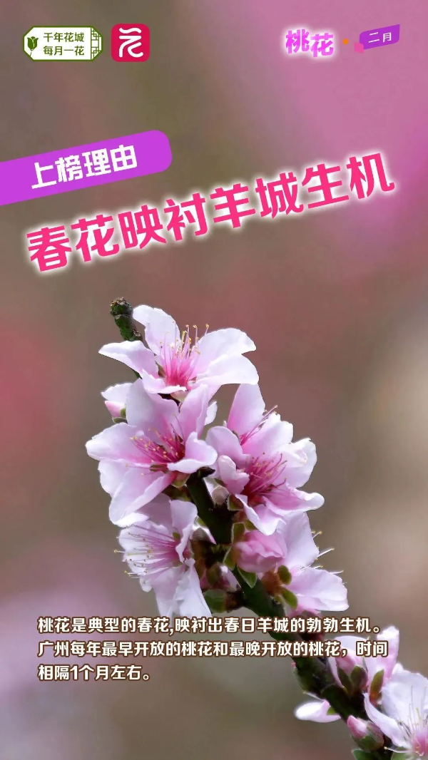 微信图片_20240222163659 图片