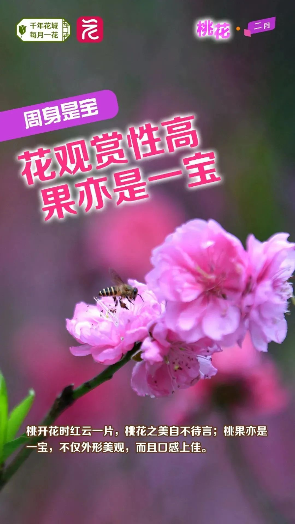 微信图片_20240222163706 图片