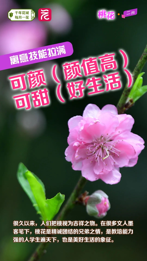 微信图片_20240222163714 图片