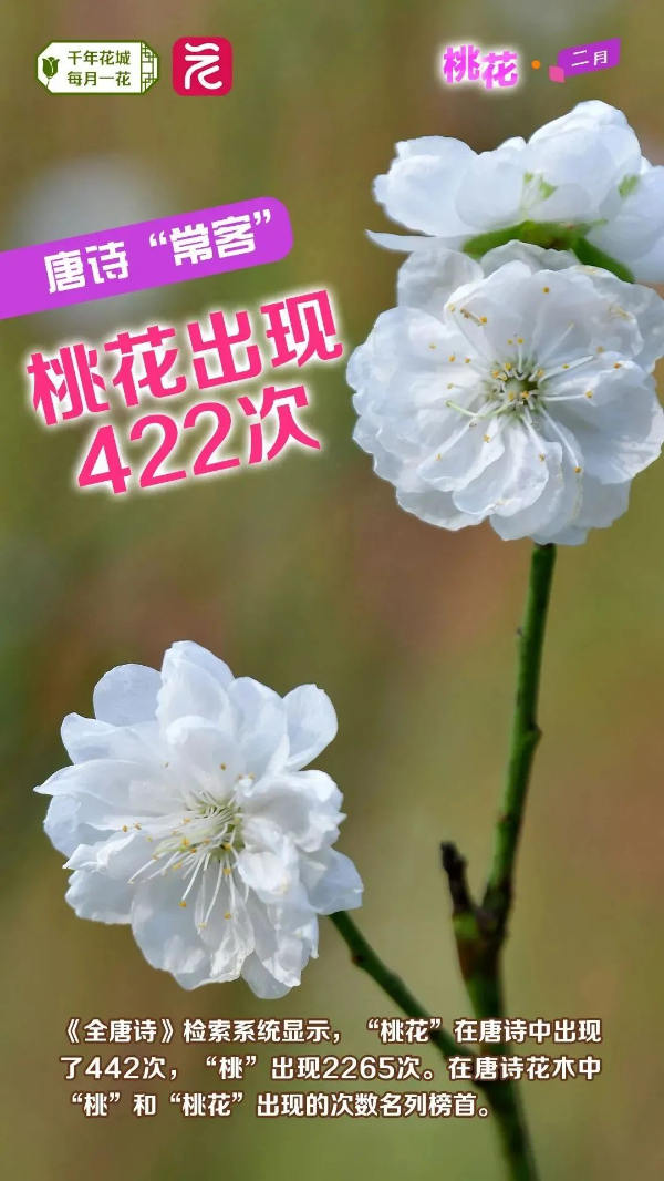 微信图片_20240222163702 图片