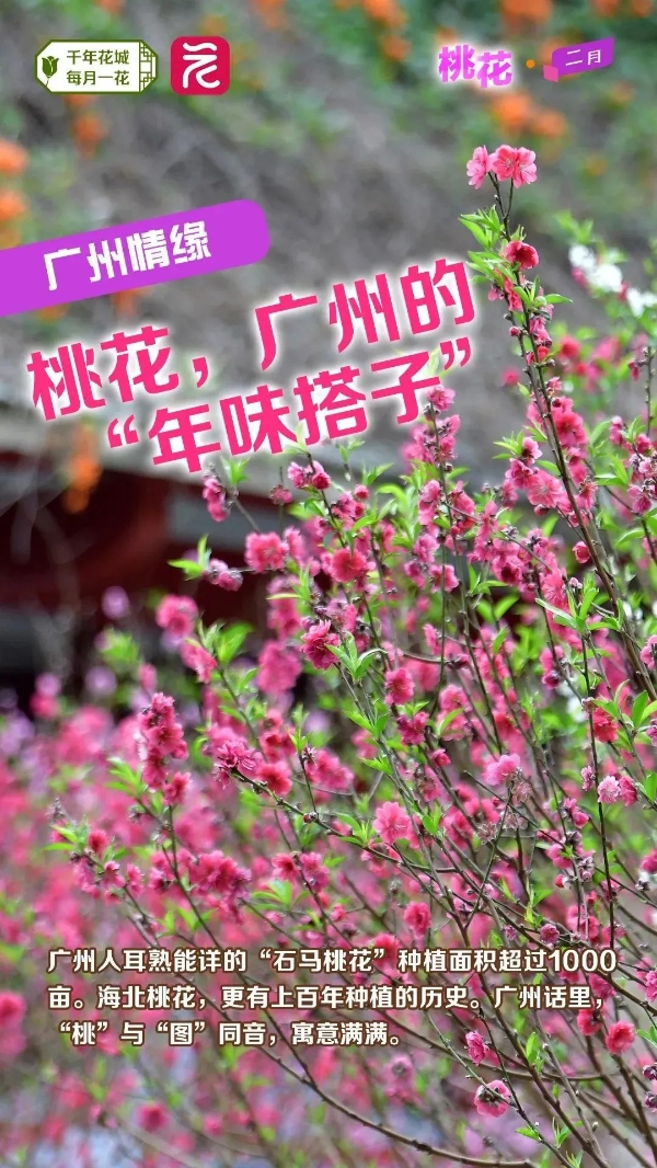 微信图片_20240222163719 图片