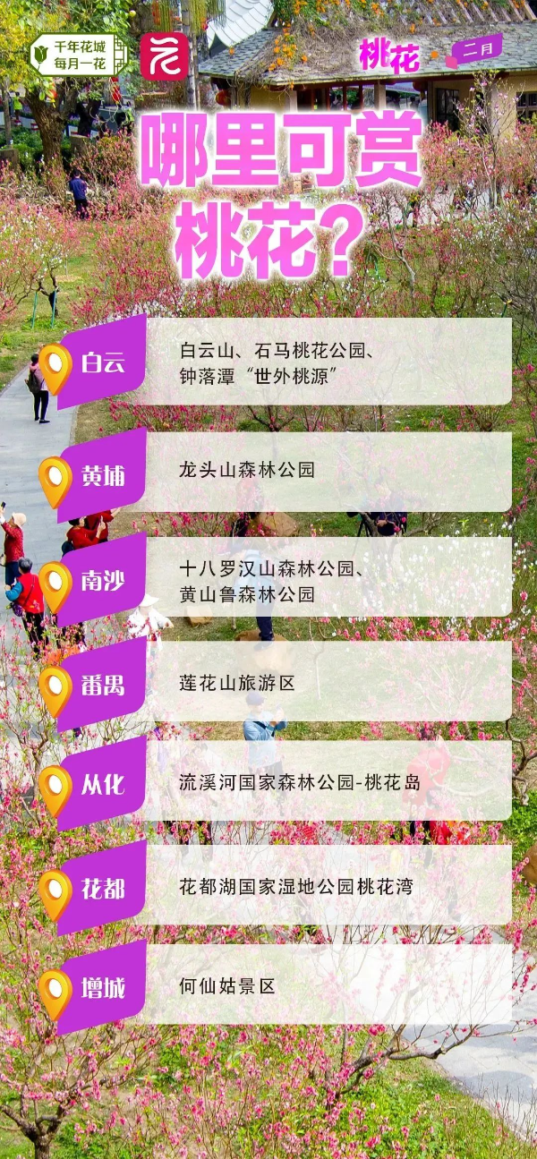 微信图片_20240222163710 图片