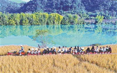 广州今年评选50条美丽河湖