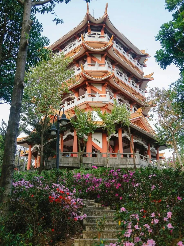 大阳城集团娱乐视频