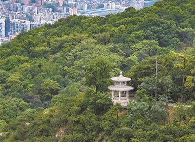 广州市开展红棉老兵生态林建设活动