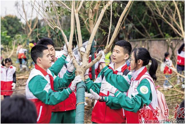 在广州海珠国家湿地公园二期，前来参与公益植树活动的市民群众络绎不绝。