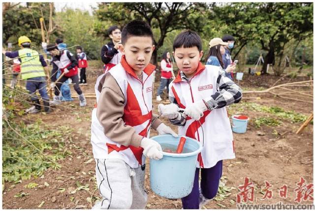 在广州,群众爱绿护绿蔚然成风。 在广州,群众爱绿护绿蔚然成风。