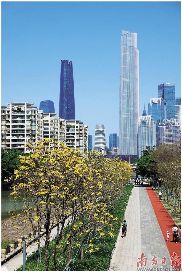 广州聚焦保蓝天、护碧水、守净土。磨碟沙公园内,市民散步运动享受阳光。 广州聚焦保蓝天、护碧水、守净土。磨碟沙公园内,市民散步运动享受阳光。