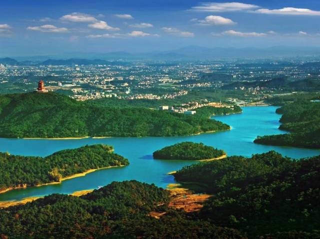 打造“岭南绿美第一村”！社会力量齐聚花都花城村携手添新绿