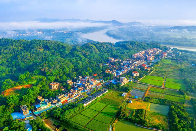 聚焦典型强示范！今年增城建设这12个典型村