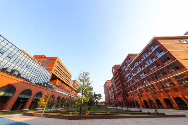 大阳城集团娱乐视频