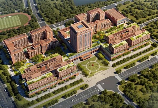 大阳城集团娱乐视频