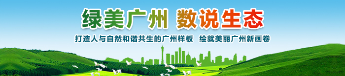 绿美广州 数说生态