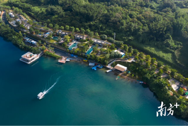 增城上九陂村：昔日“采石村”，今朝“绿富美”