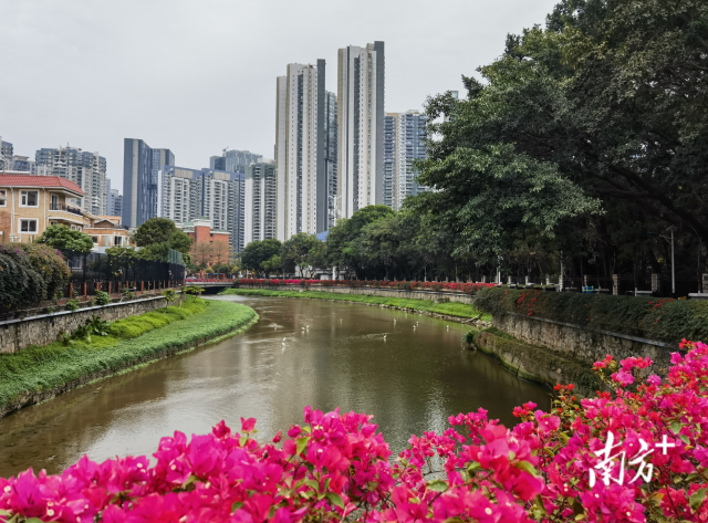 今年计划建设碧道7.3公里！天河将建设特色海绵城市示范片区
