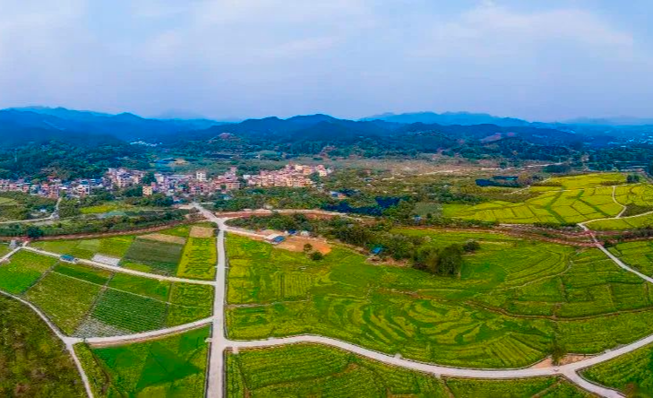 增城中新镇2个案例入选广州市基层党建“双百”案例