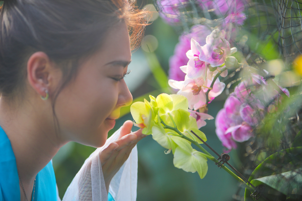 大阳城集团娱乐视频