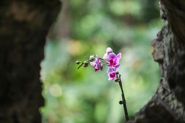 大阳城集团娱乐视频