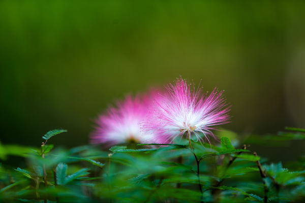 大阳城集团娱乐视频