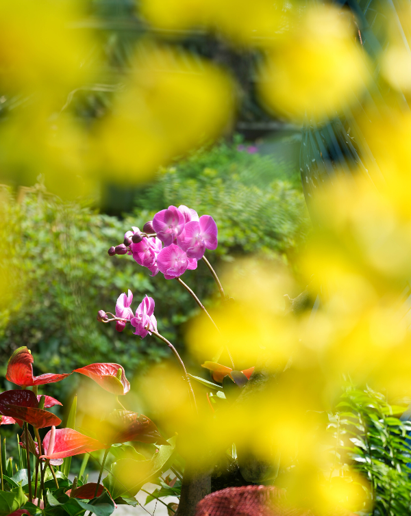 大阳城集团娱乐视频